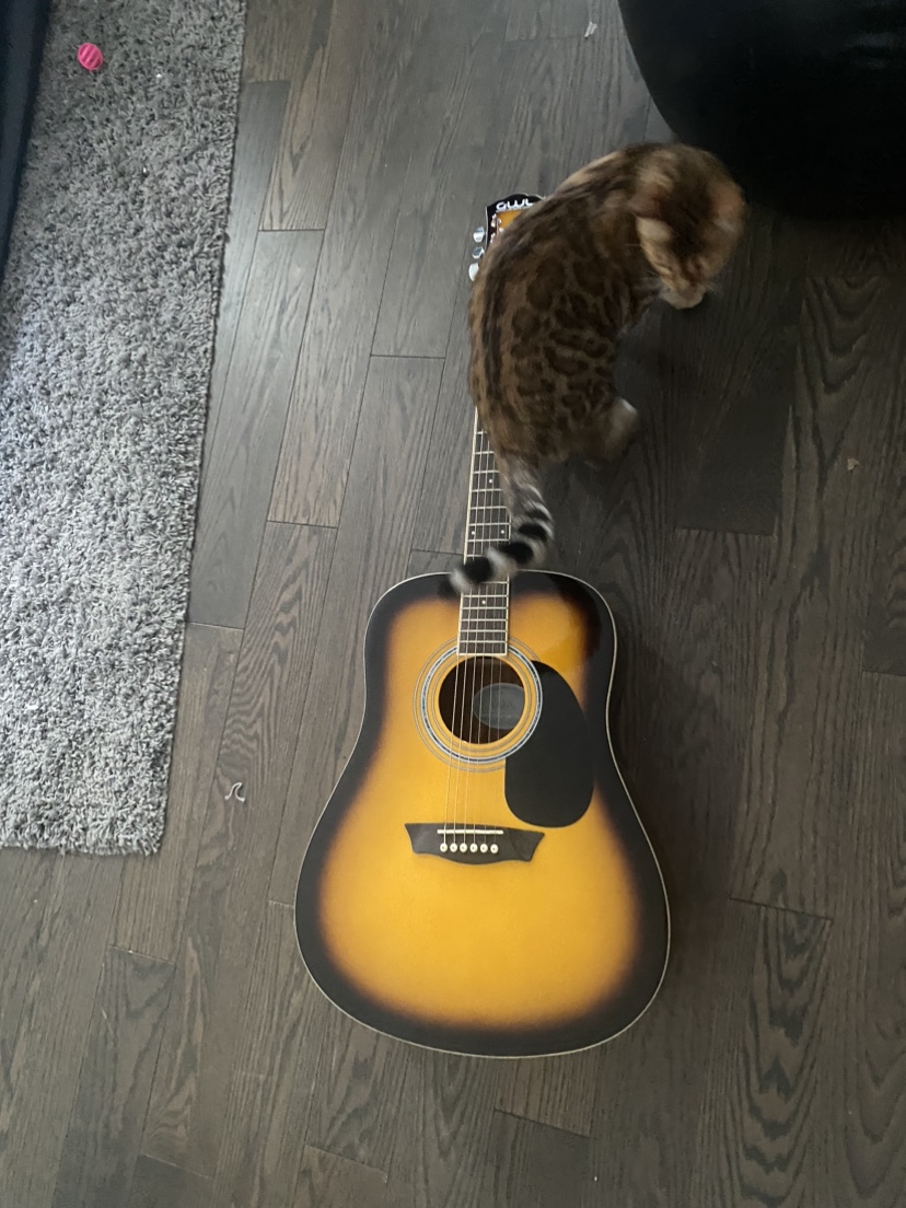 Acoustic Guitar - photo 2