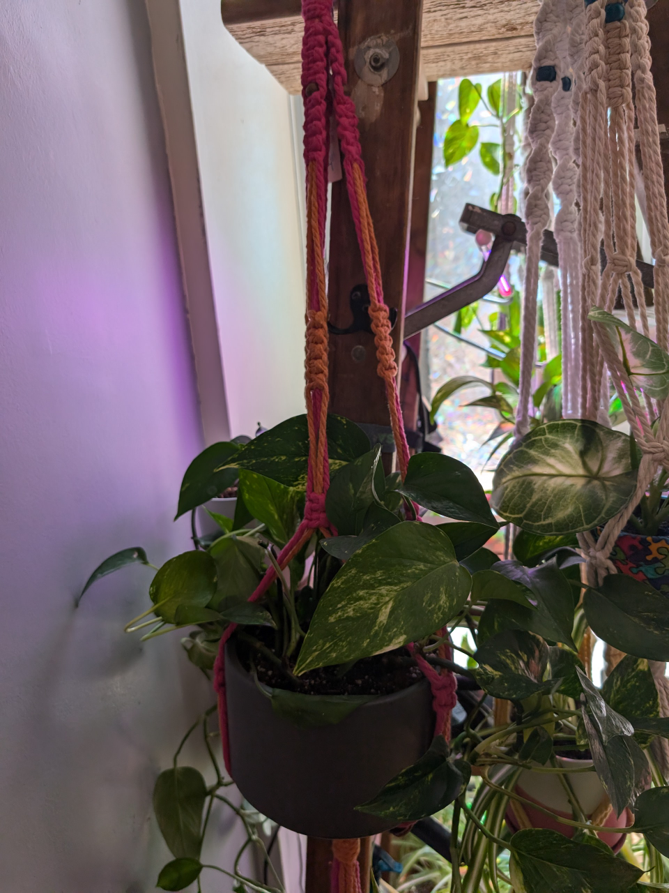 100% recycled cotton rope used for macrame plant hangers image indicator(10)