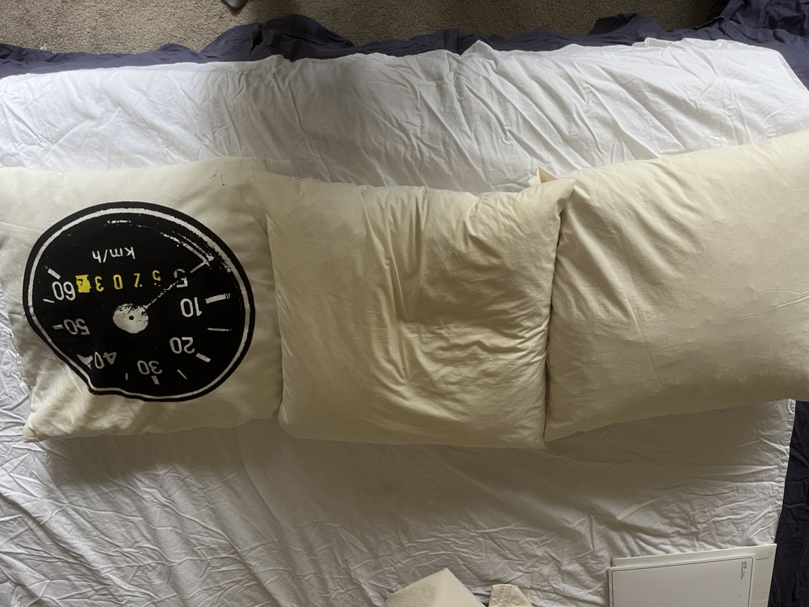 Three pillows up for grabs *moving sale* thumbnail