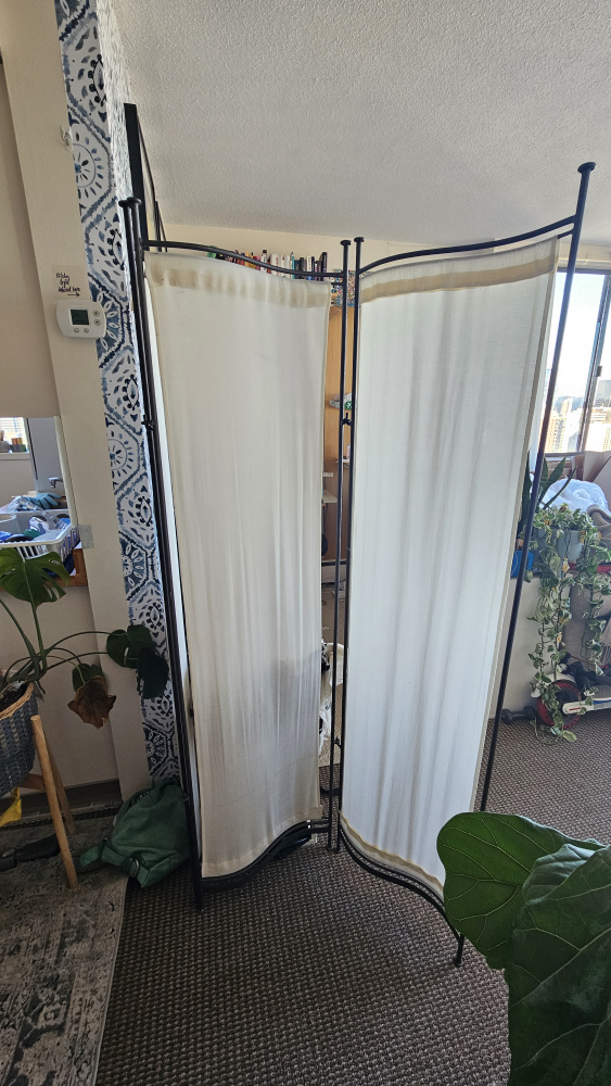 room divider - photo 2
