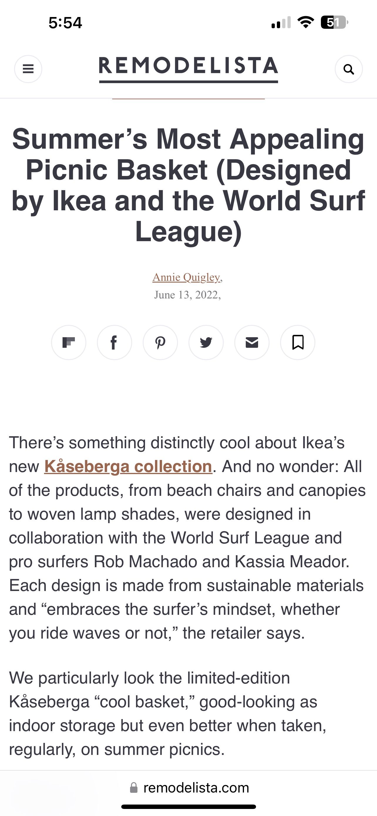 💘 IKEA Ltd Edition Bamboo Picnic Basket w/liner image indicator(10)