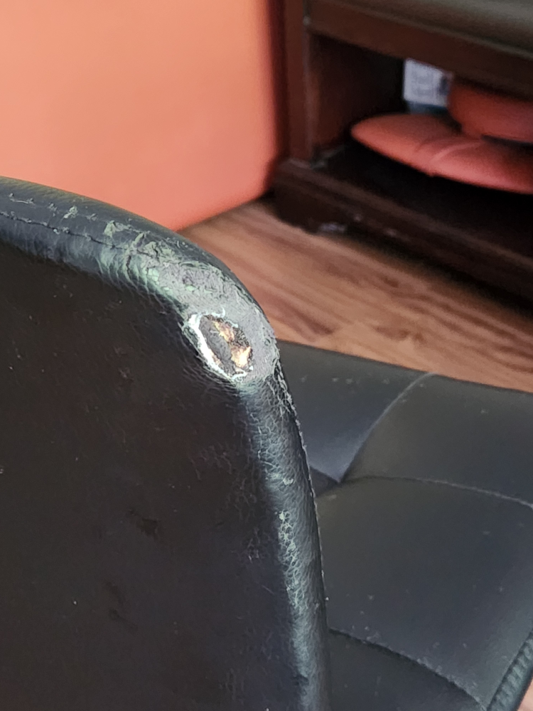 Free Bar Stool - photo 4