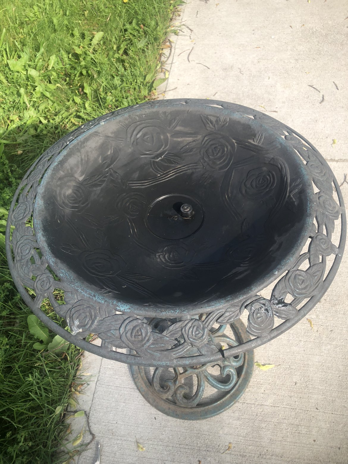 Bird bath thumbnail