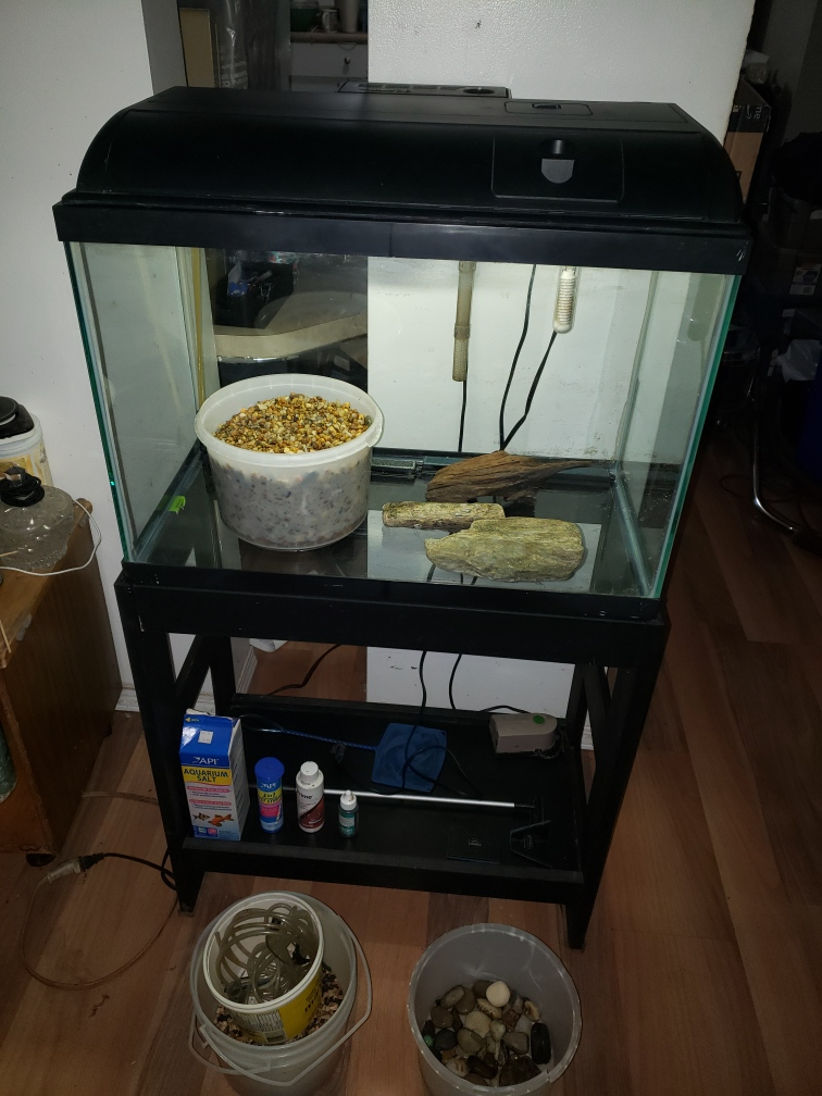 20 gallon aquarium and stand