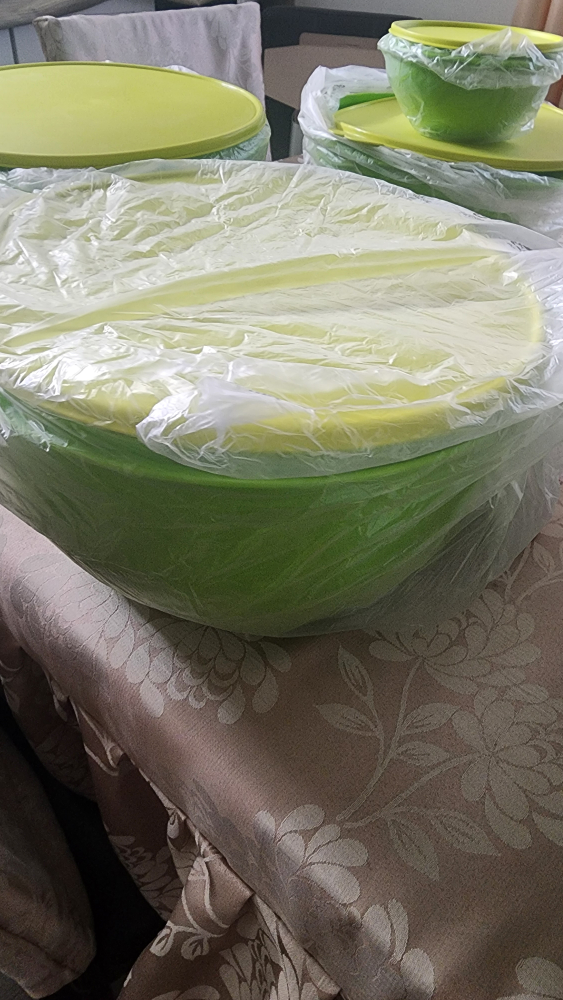 Tupperware Bowls and Carry All Cintainer - photo 2