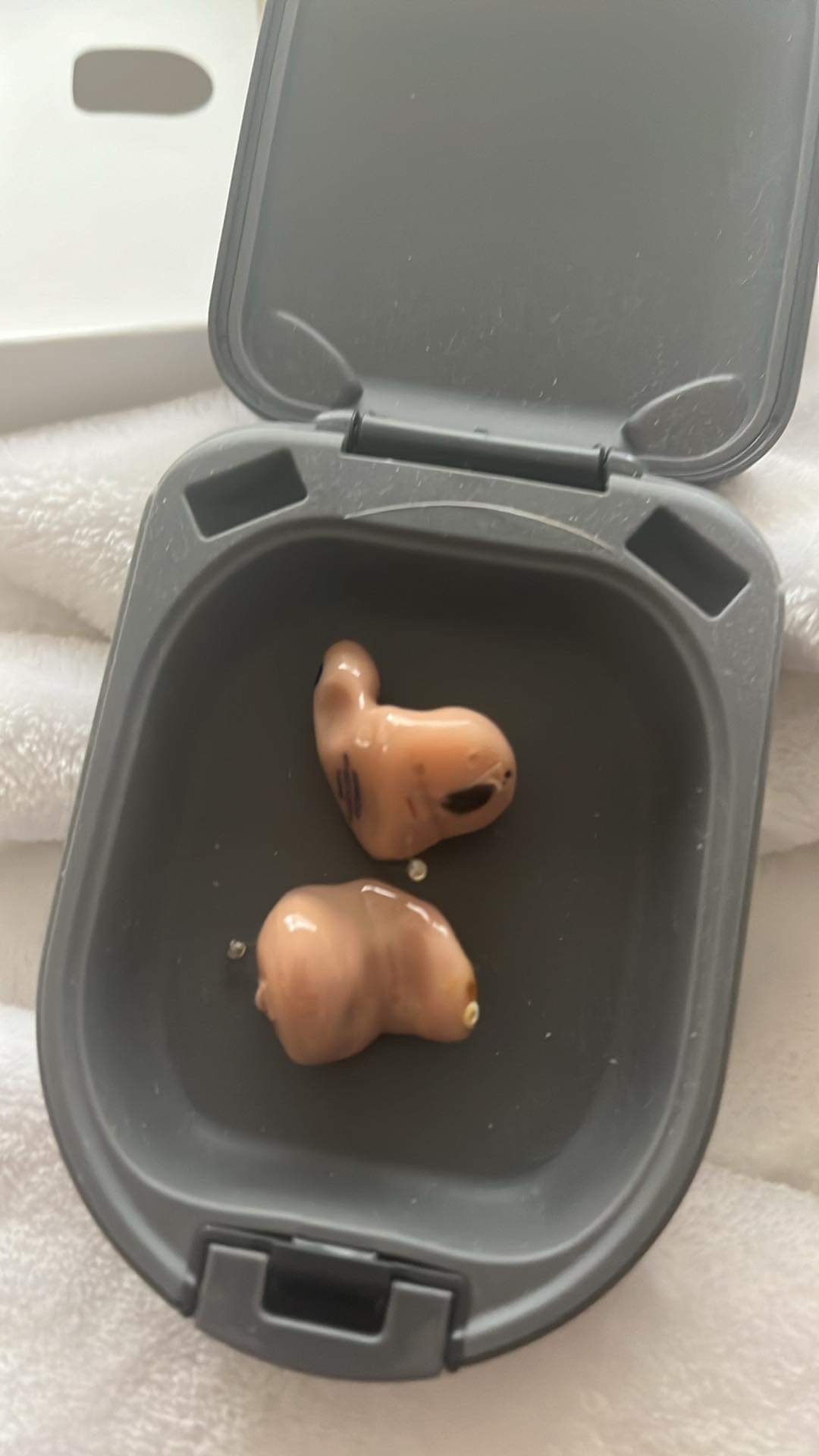 Hearing aids