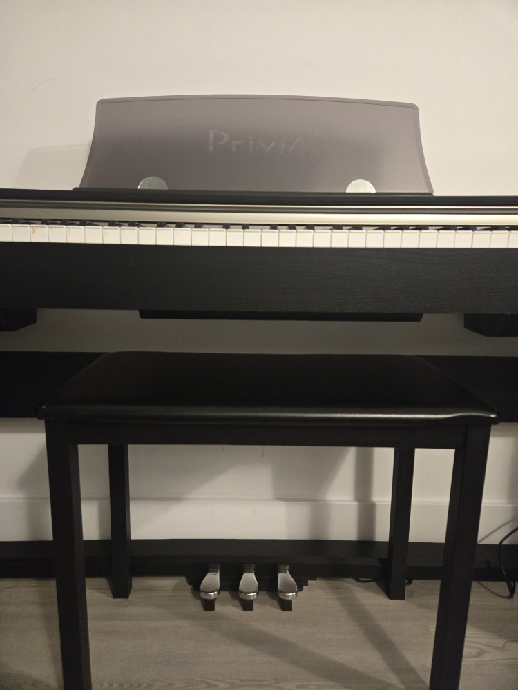 Casio priva PX-730