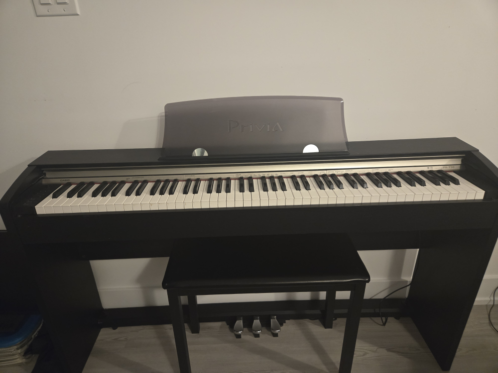 Casio priva PX-730 - photo 4