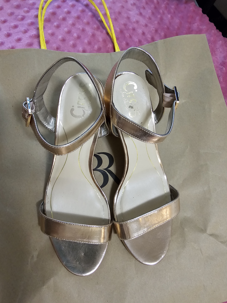 Golden Circus shoes