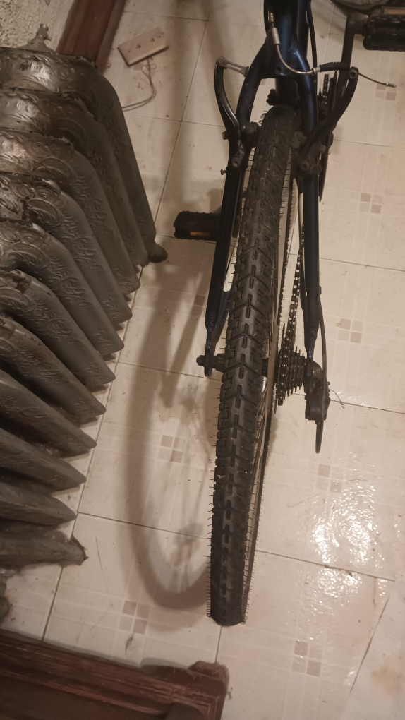 Schwinn Trailway - photo 3