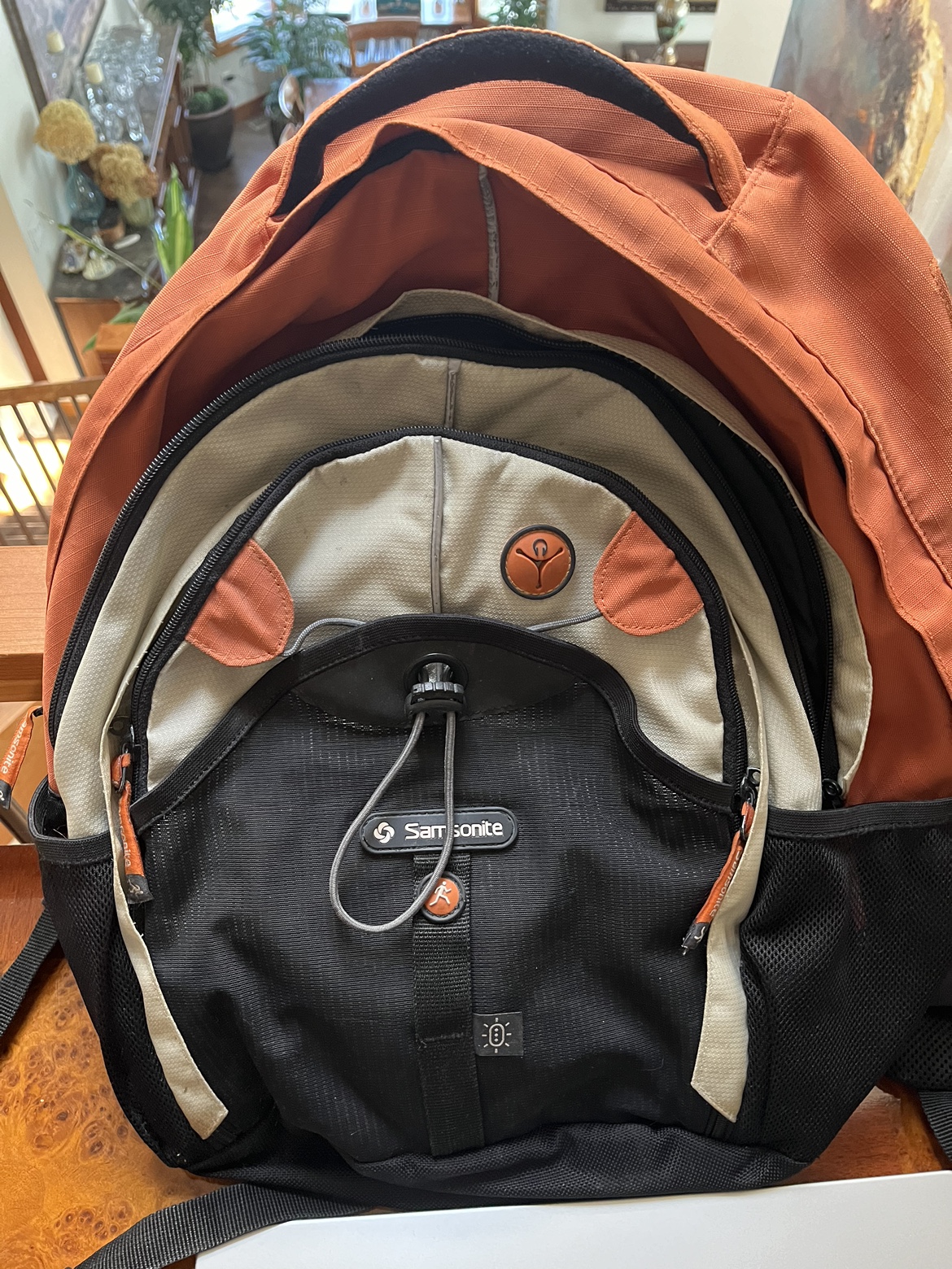 Samsonite backpack
