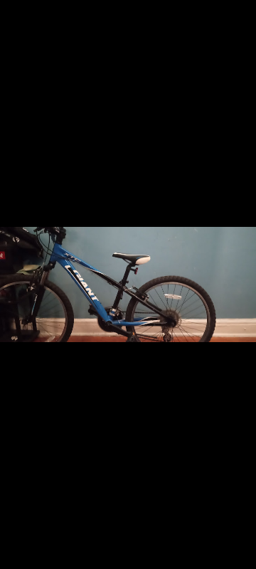 Giant Mountain bike for kids - photo 3
