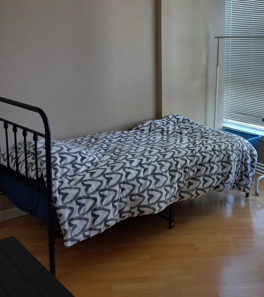 Single frame and Mettress (Twin size) - photo 2