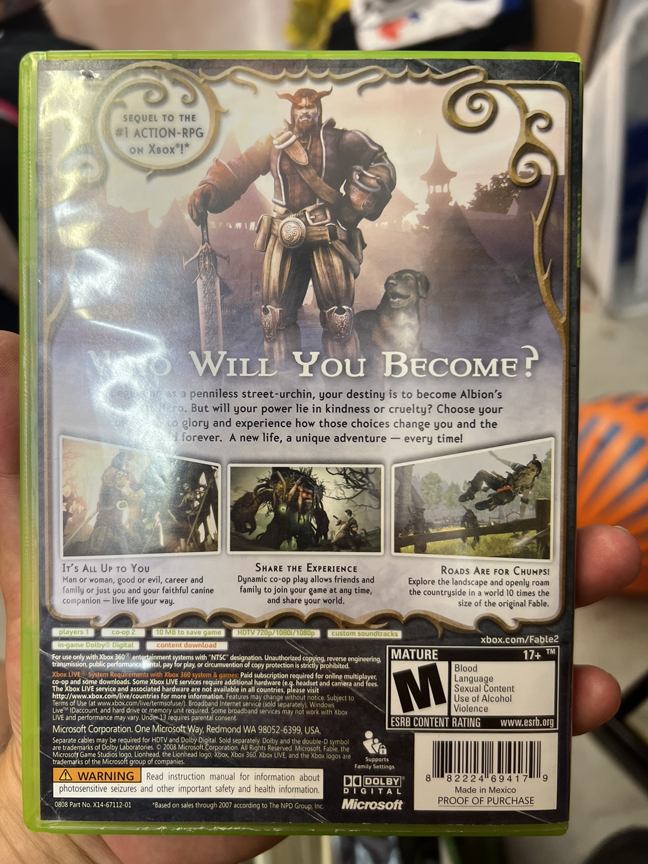 Fable 2 - photo 2