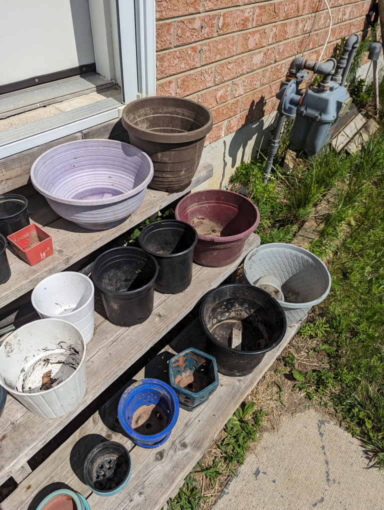 plant pots - photo 4