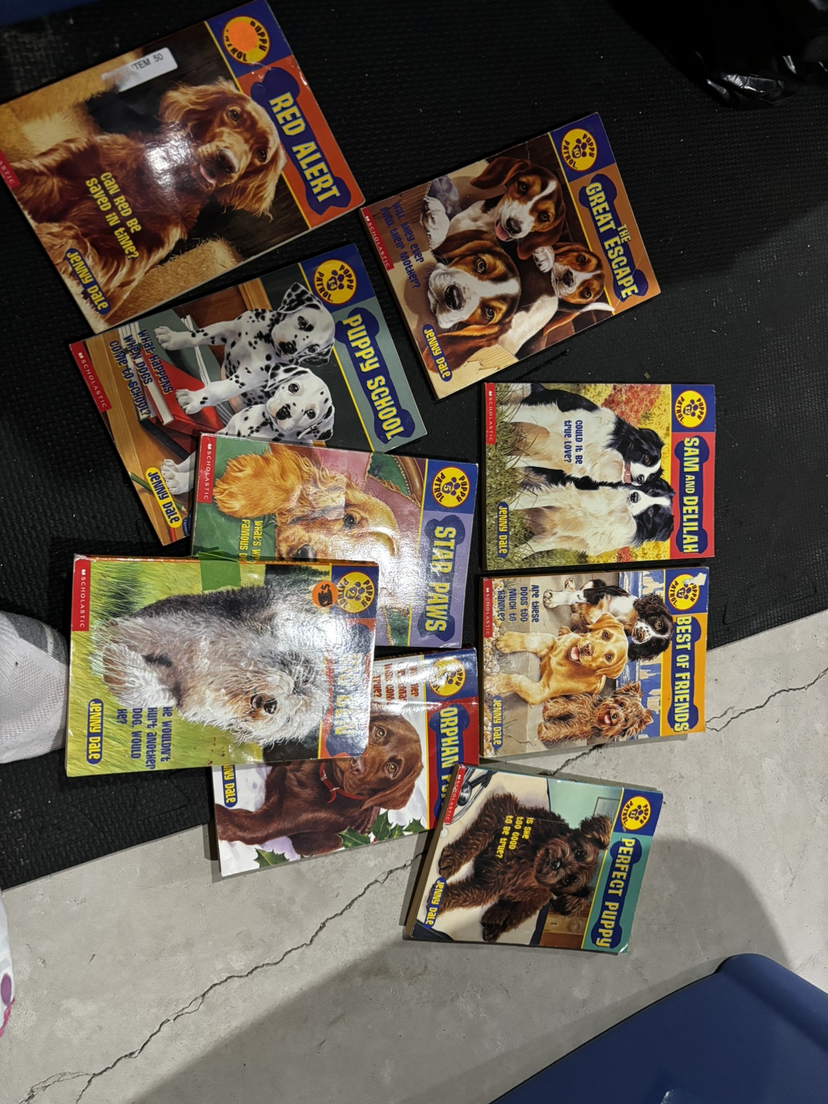 Puppy patrol books