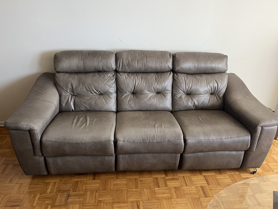Electric Top Grain Leather Recliner From Elran