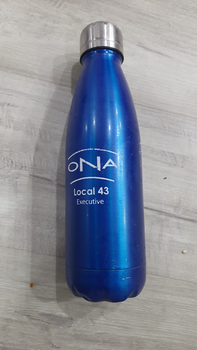 Stainless Steel Bottle