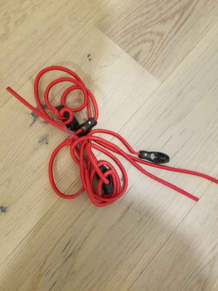 bungee cord