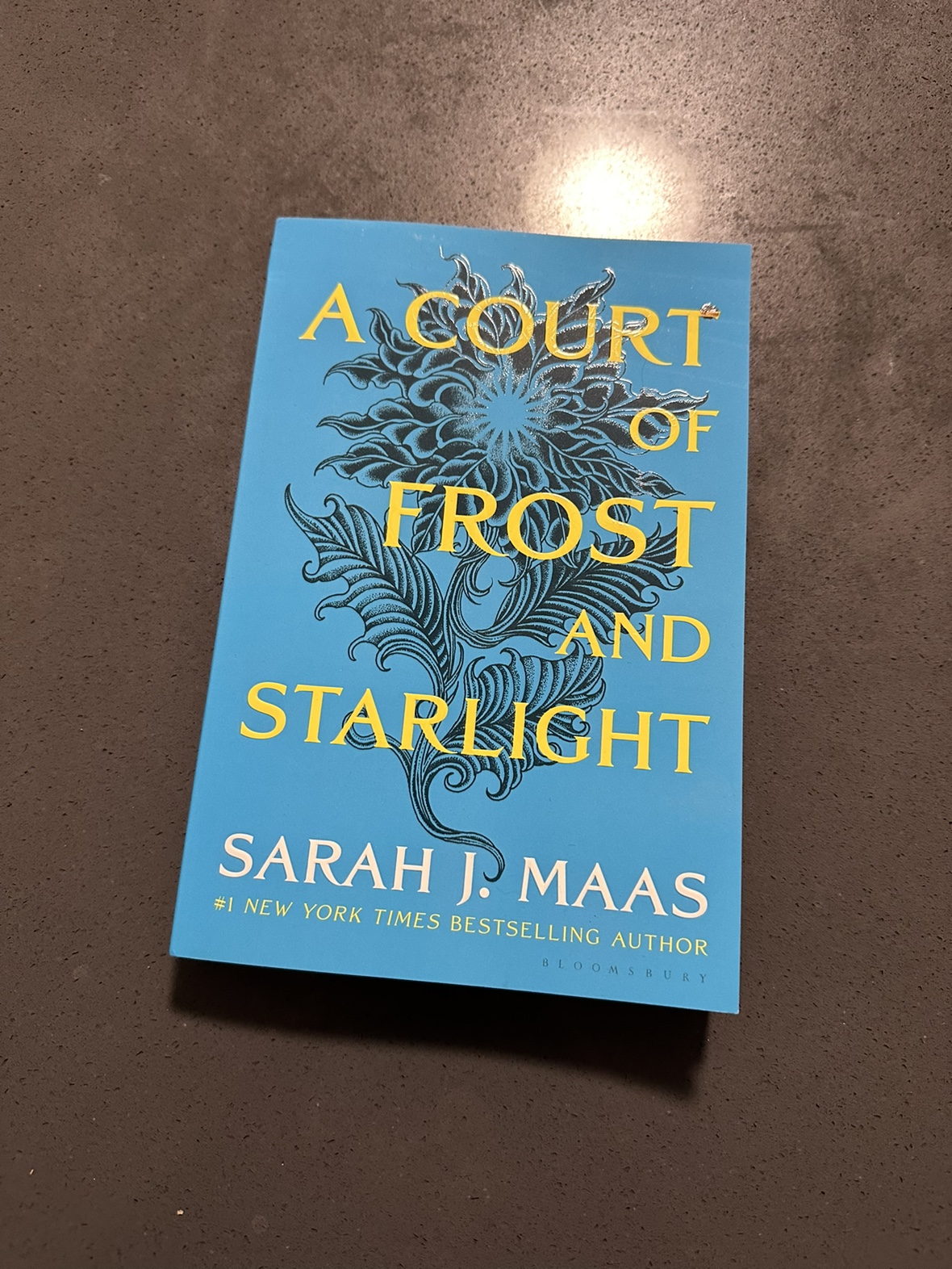 A Court Of Frost and Starlight Sarah J Maas Book thumbnail