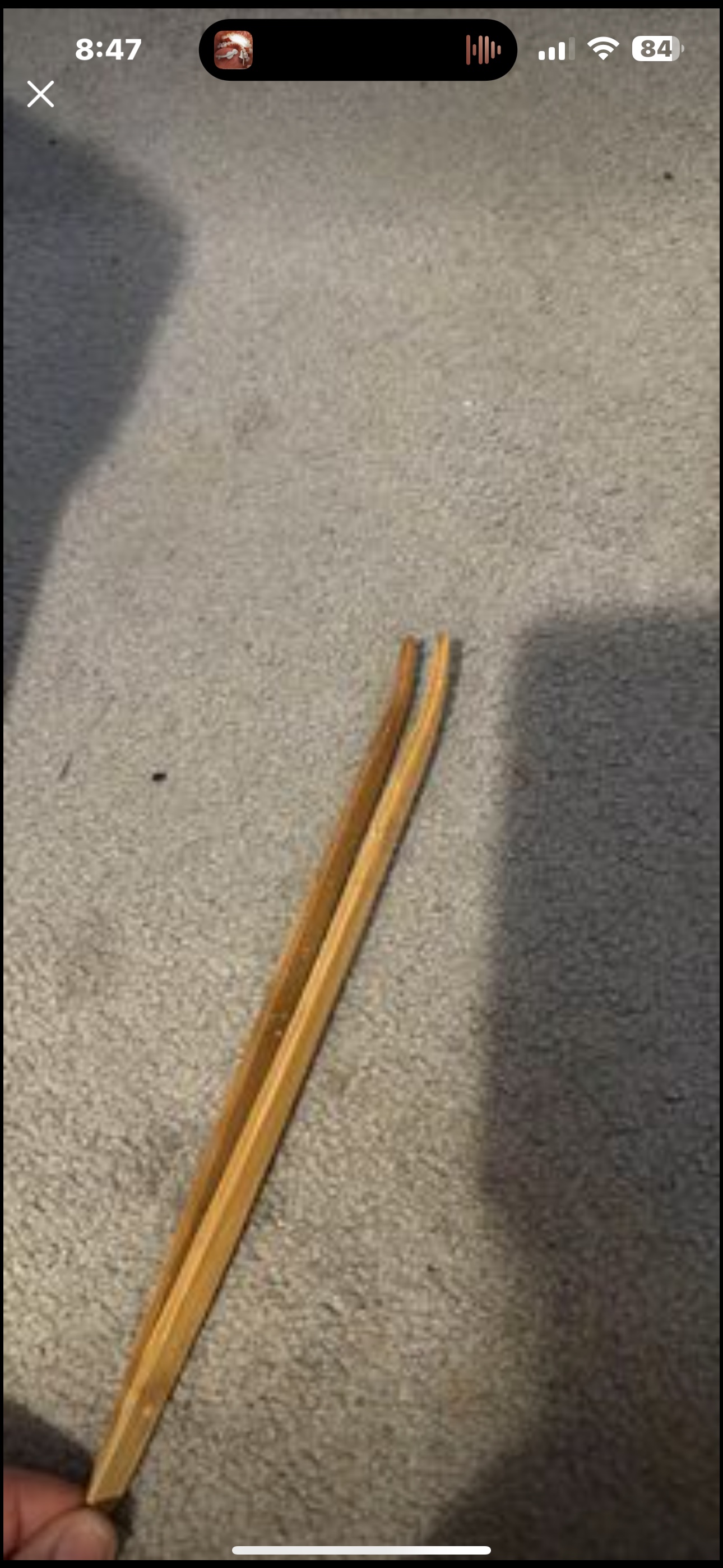 Tall terrarium image indicator(6)