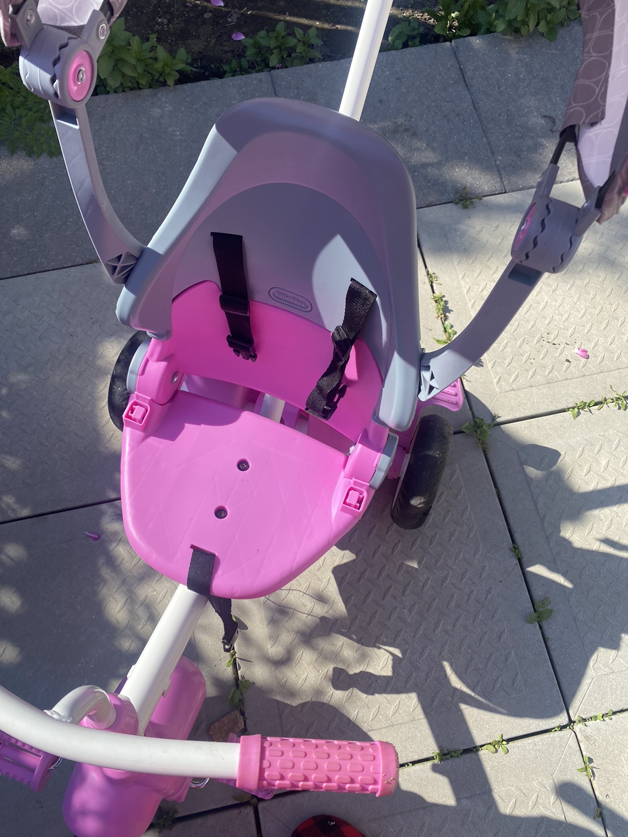 toddler cycle