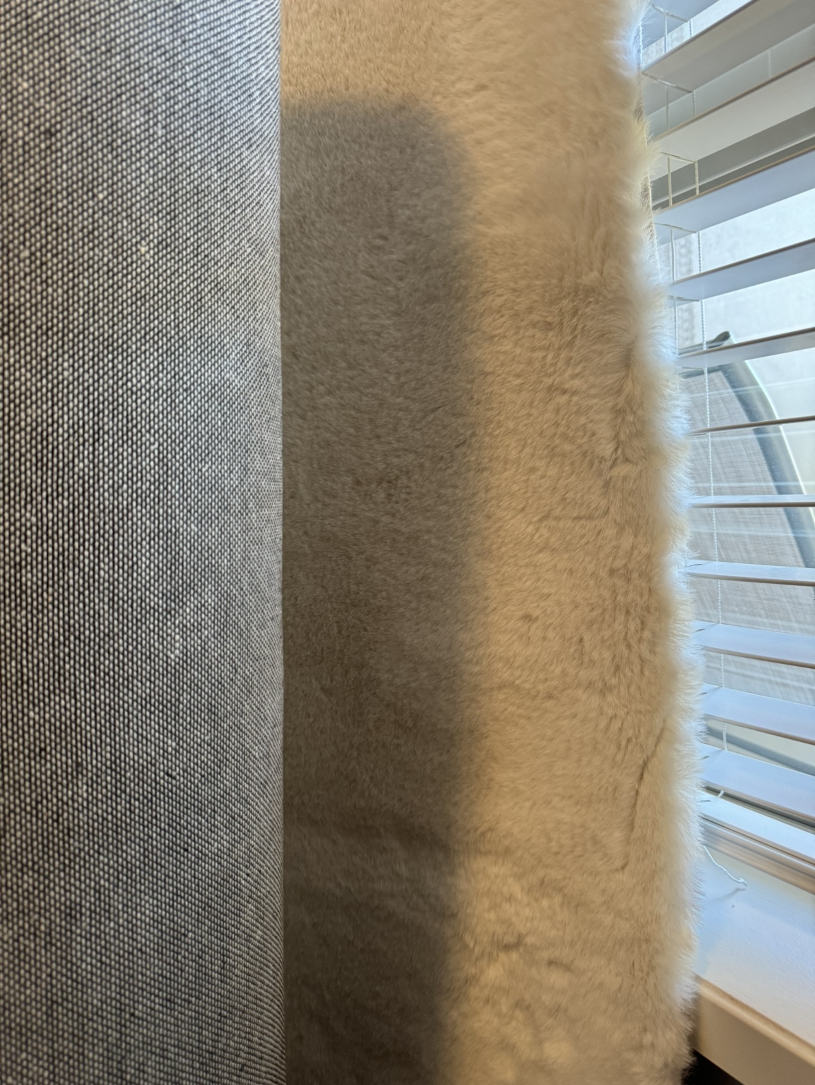 JYSK Carpet - photo 4