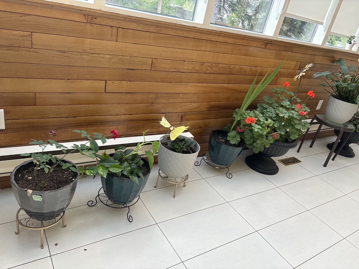 Plants - photo 2