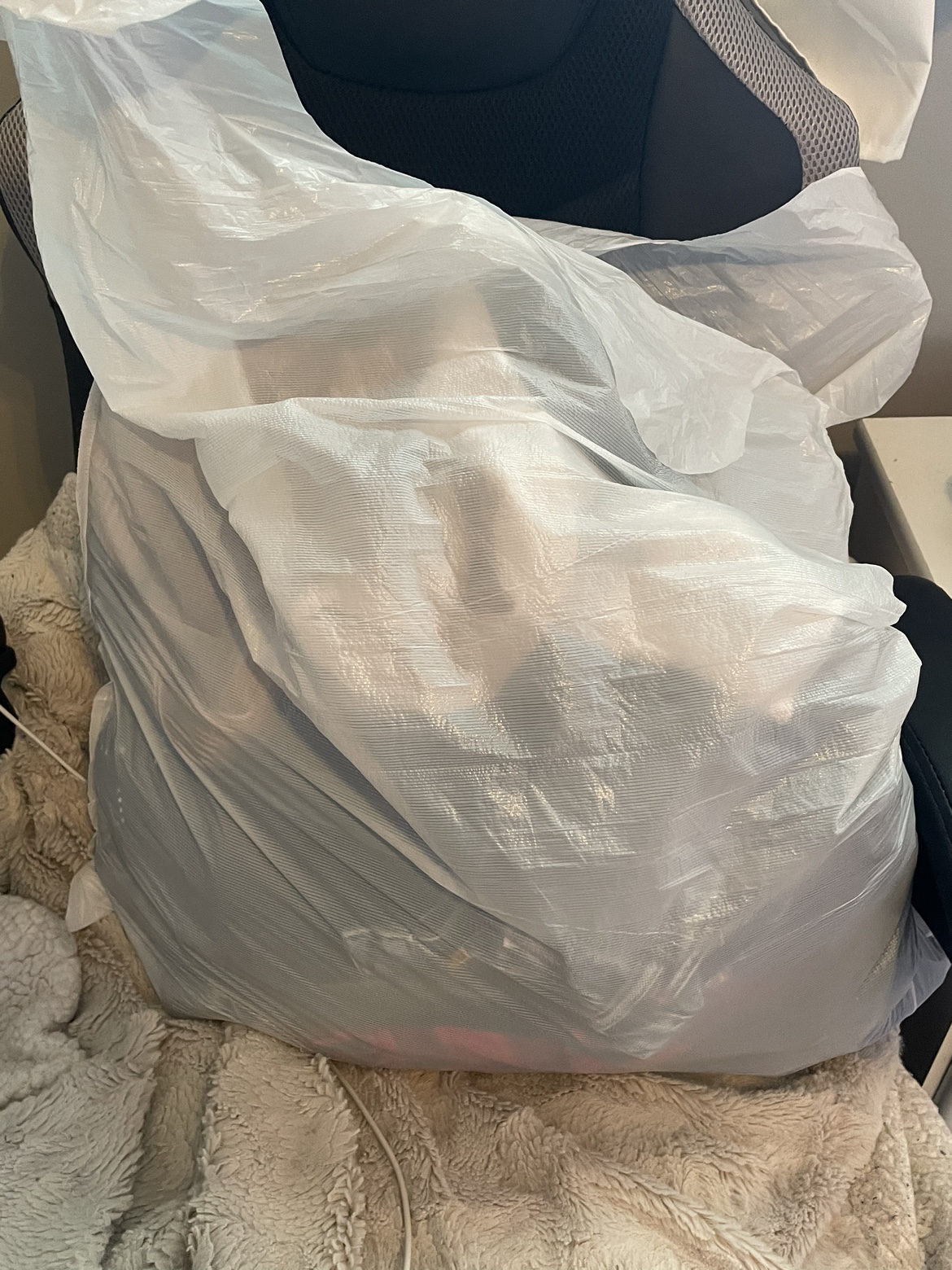 Closet clean out! Women’s small clothes bag - photo 4