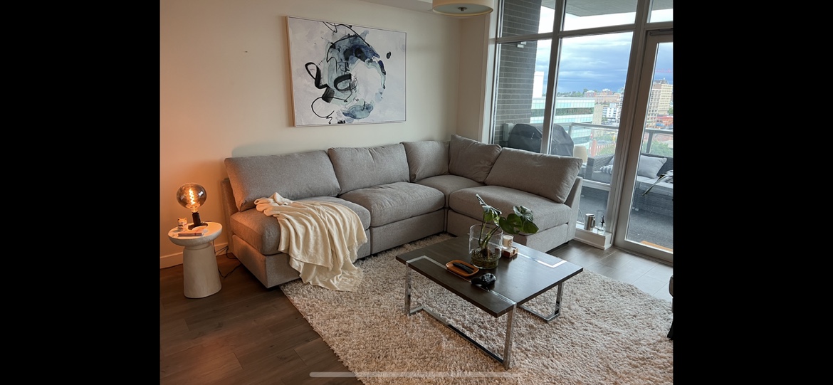 8x10 White Shag Area Rug