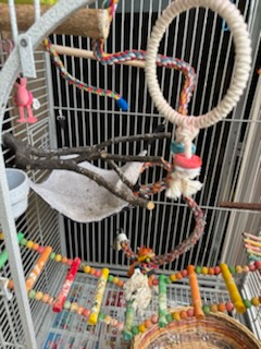 big beautiful mansion cage - photo 2