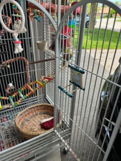 big beautiful mansion cage - photo 4