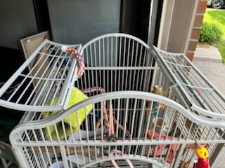 big beautiful mansion cage image indicator(7)