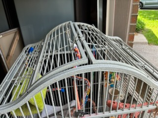 big beautiful mansion cage image indicator(8)