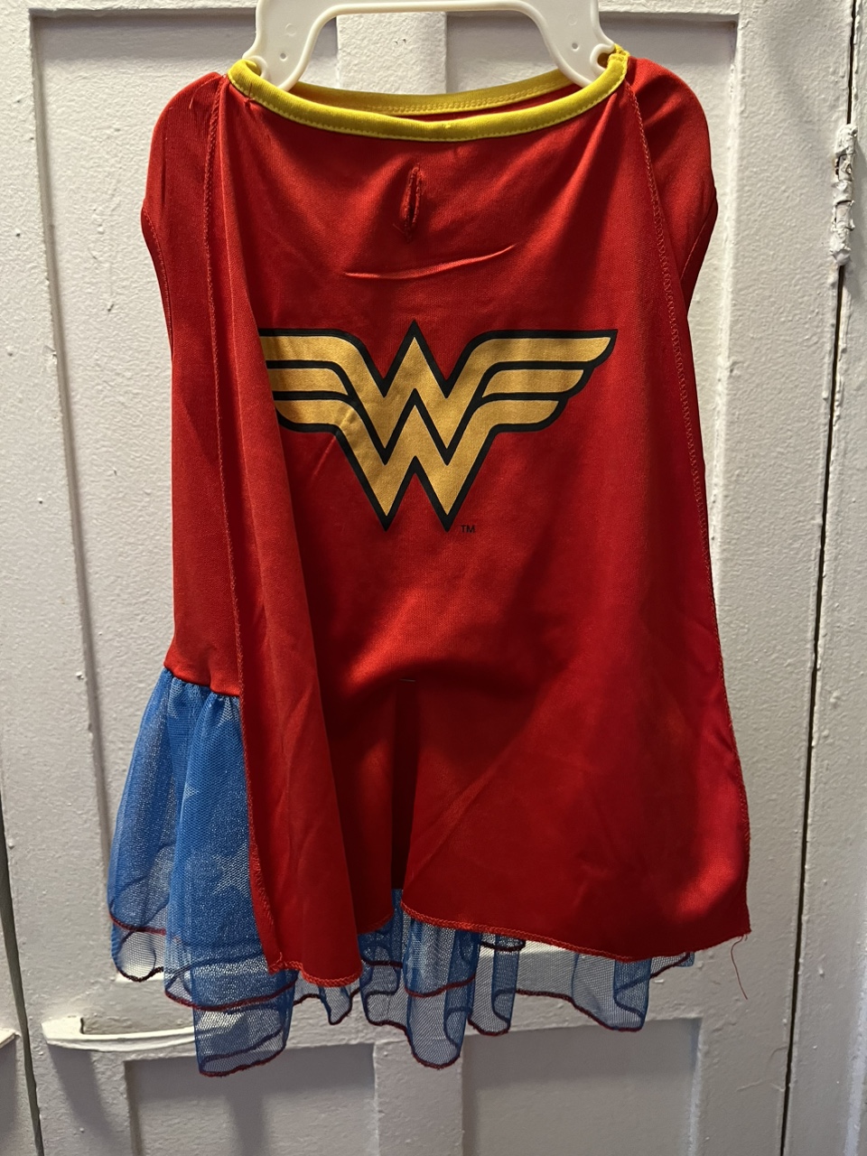 Free WonderWoman Costume to a Boston Terrier - photo 4