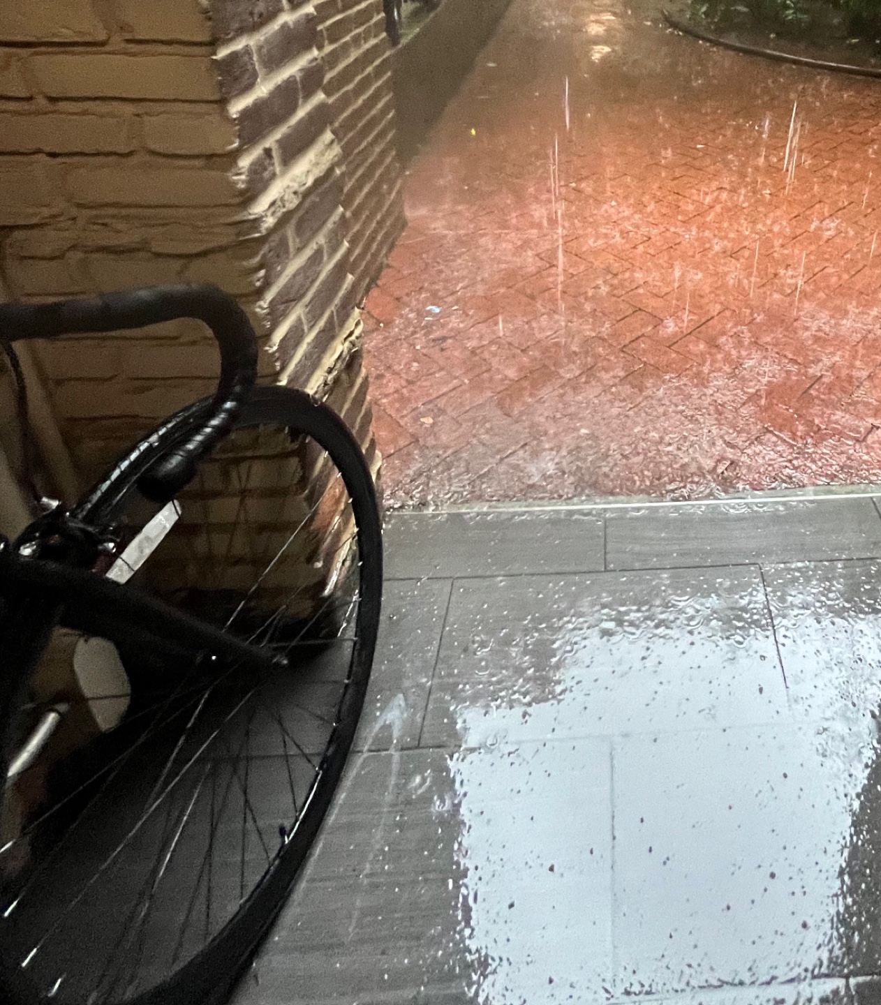 Fixed gear (⚙️ hub) 6kU - photo 2