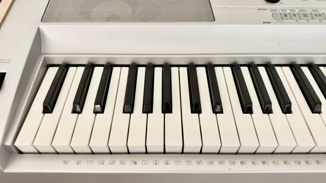 Yamaha Portable Grand DGX-505 Piano - photo 3