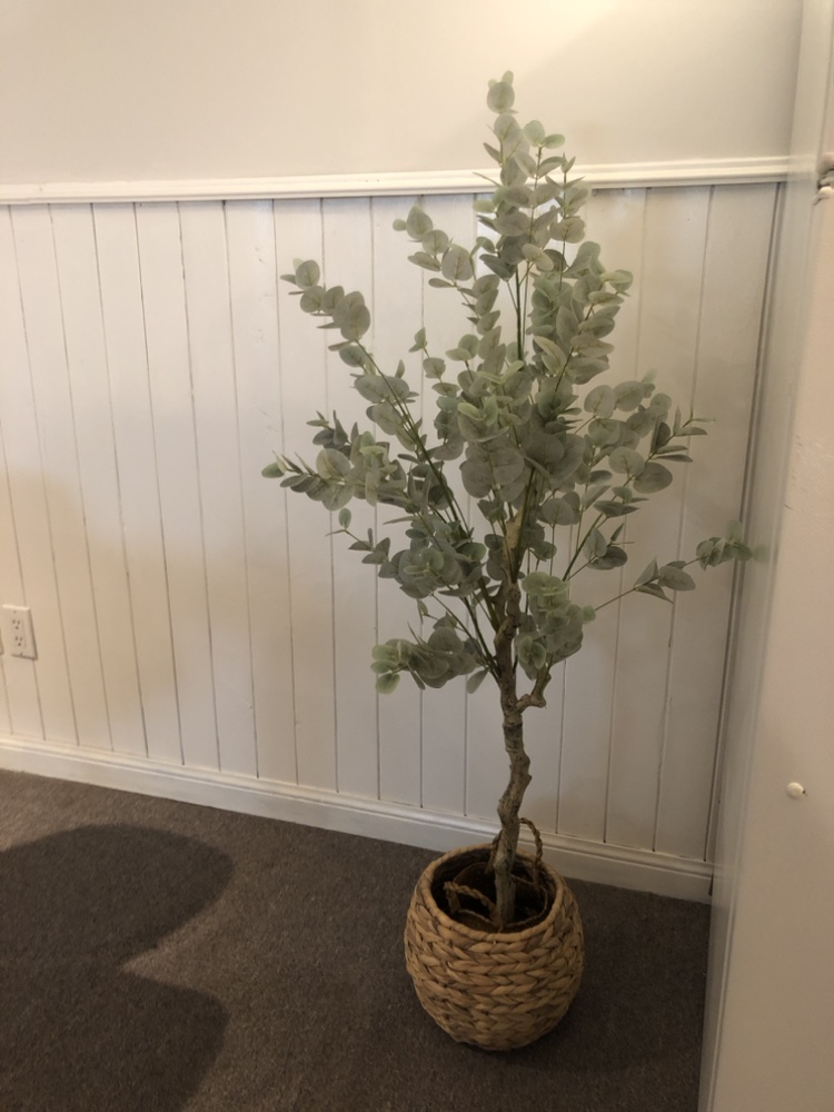 Artificial eucalyptus tree