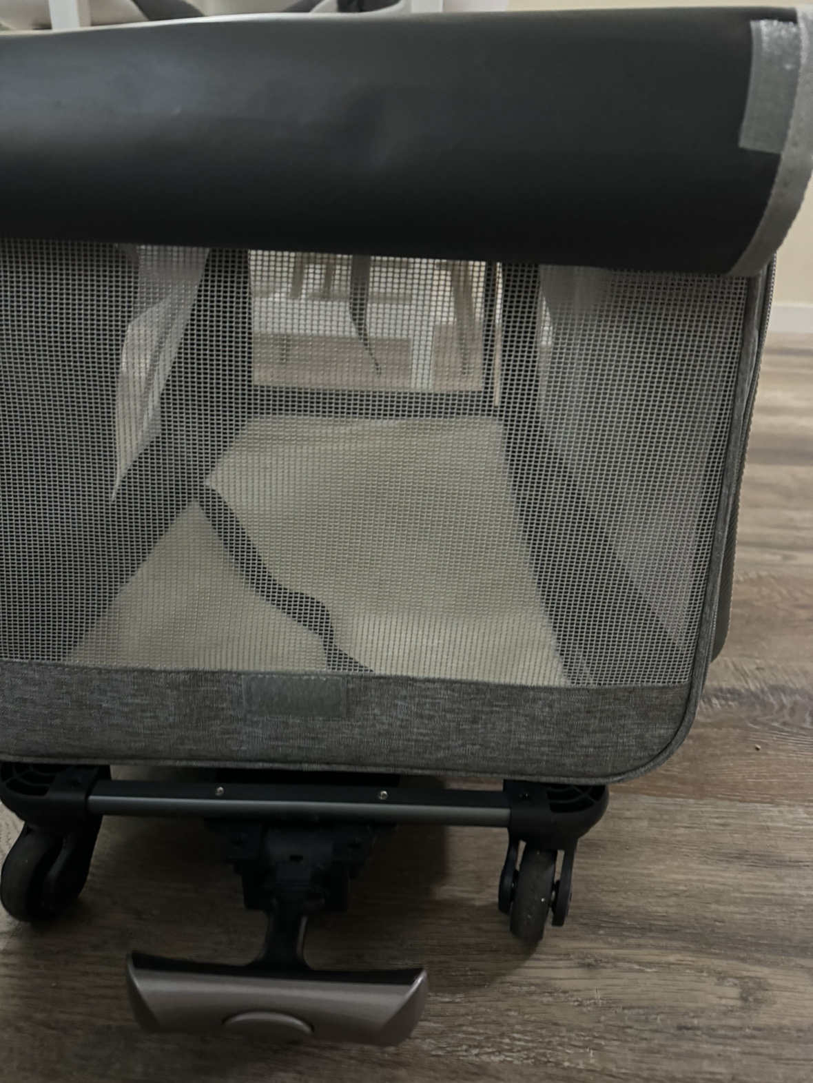 Pet carry on image indicator(3)