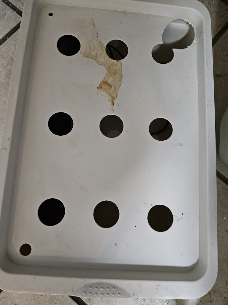 hydroponics tray with water pump