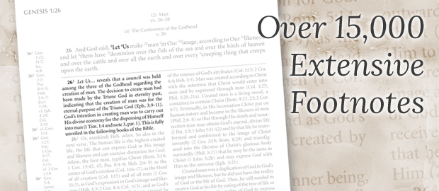 Free New Testament Study Bible #freecycle image indicator(8)