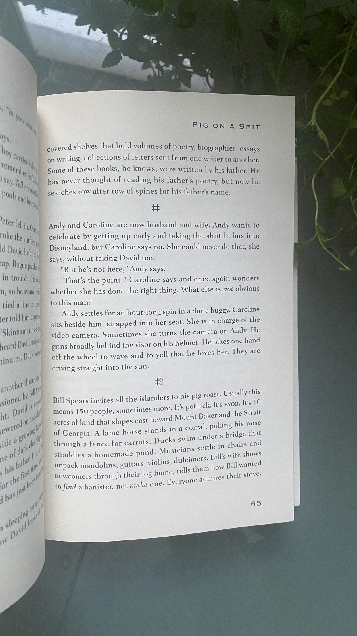 Book: Rhymes with Useless - Terrance Young image indicator(6)