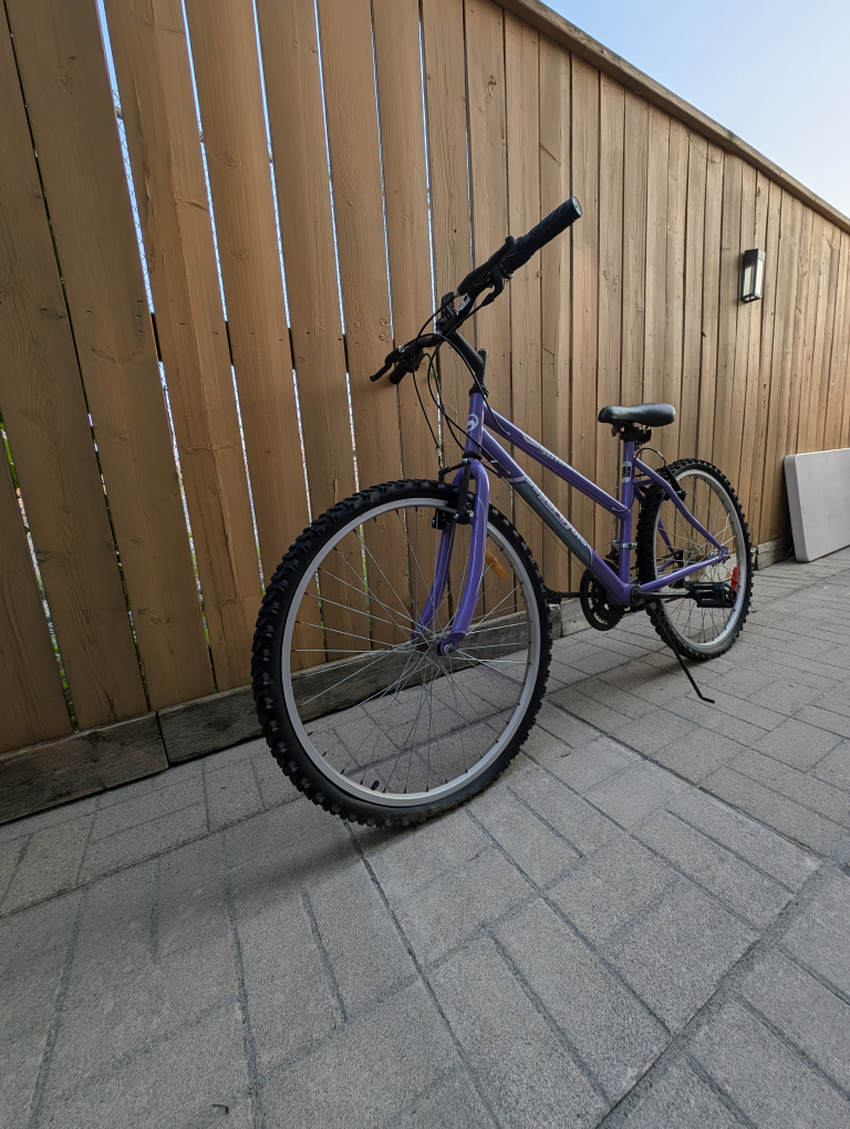Bike For Sale - photo 3