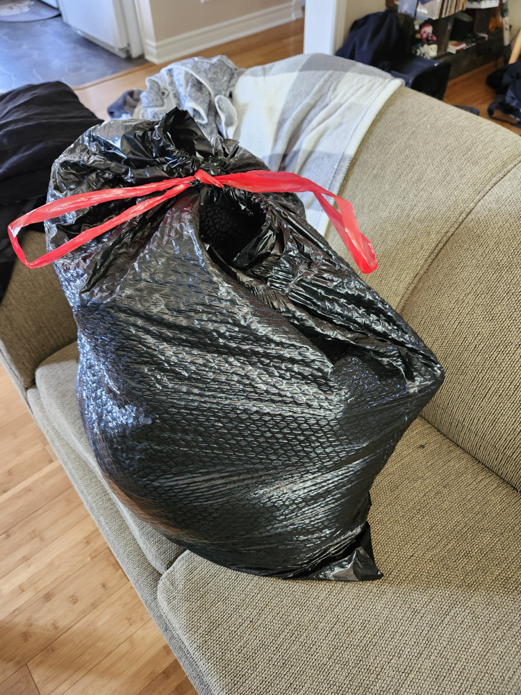woman's clothing