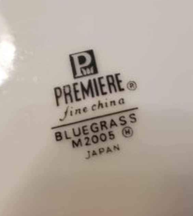 Premiere fine China Bluegrass pattern 1960s,12 piece Dishes - photo 4
