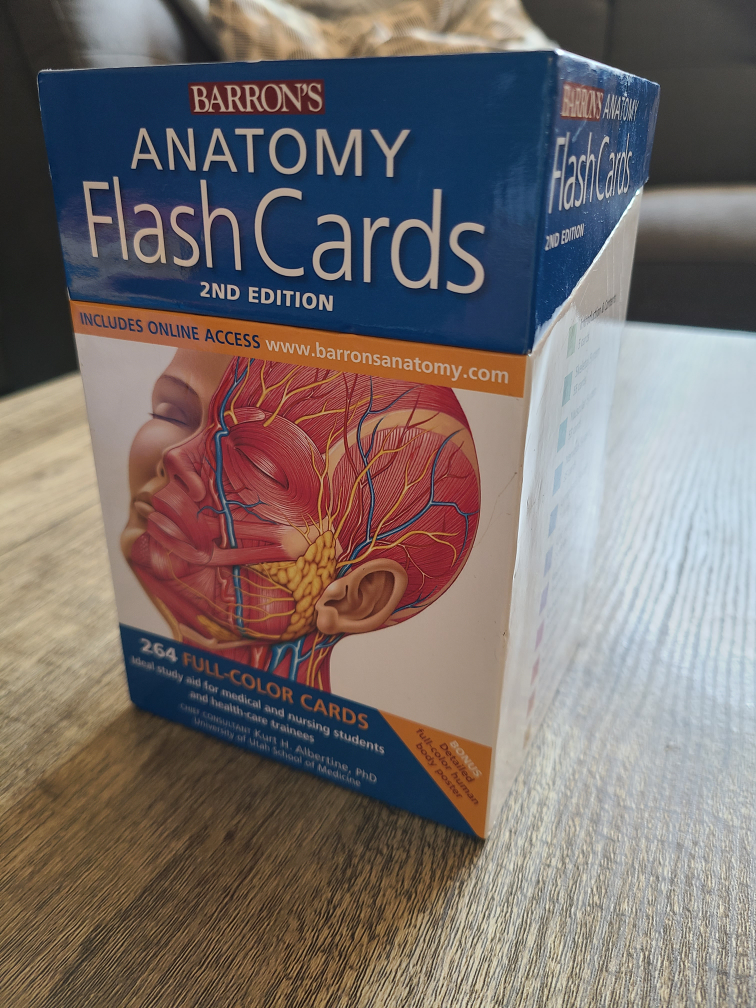 anatomy flash cards