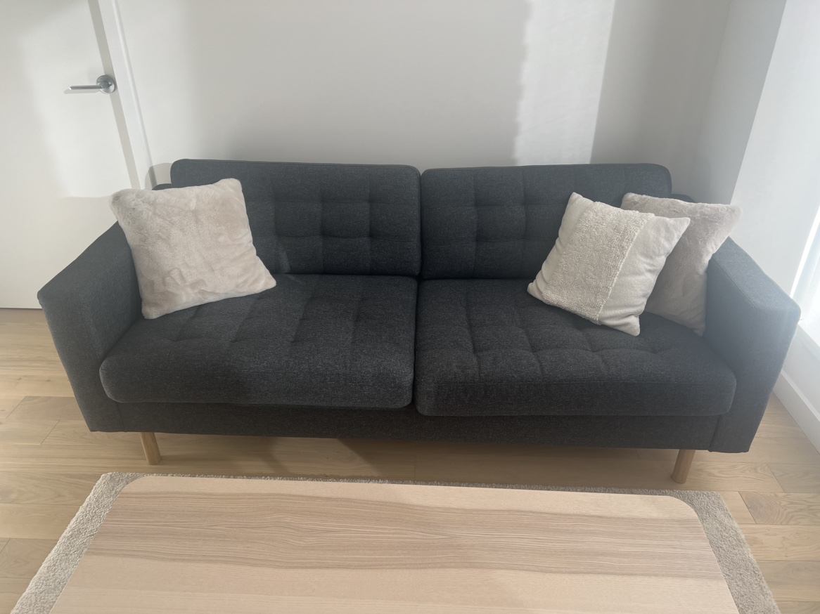 Comfortable dark gray sofa for $150