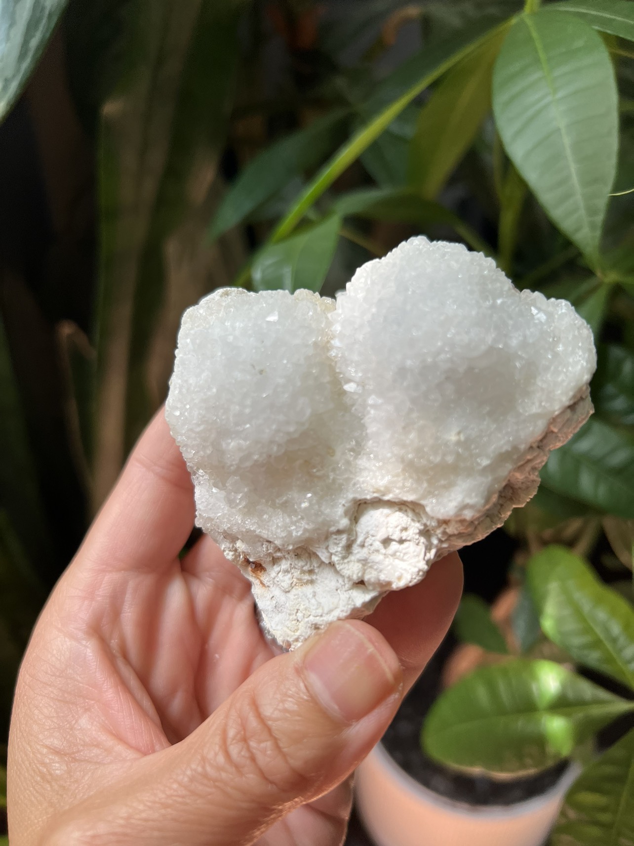 Clear quartz specimen (d) | crystal image indicator(10)