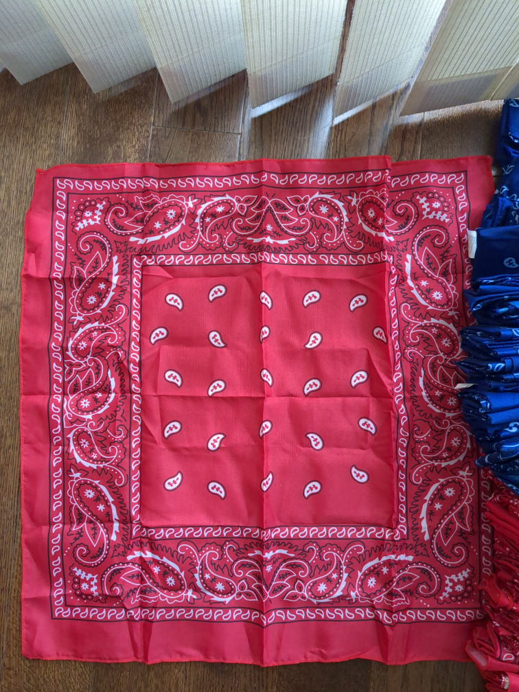Red and Blue Bandanas - photo 2