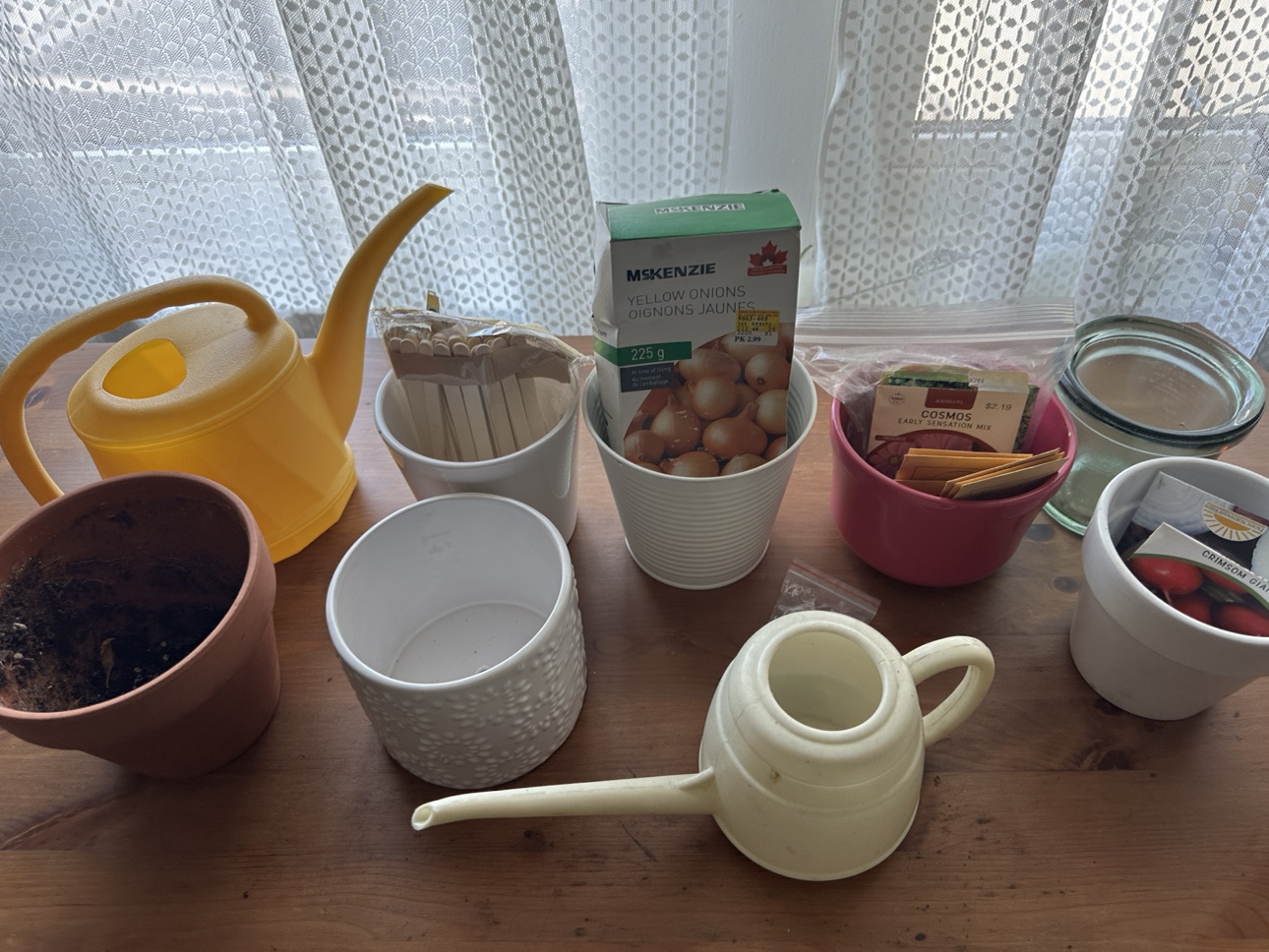 Free plant/garden items